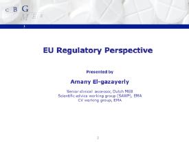 Comments on the guidelines from Regulatory Agencies - A. El Gazayerly